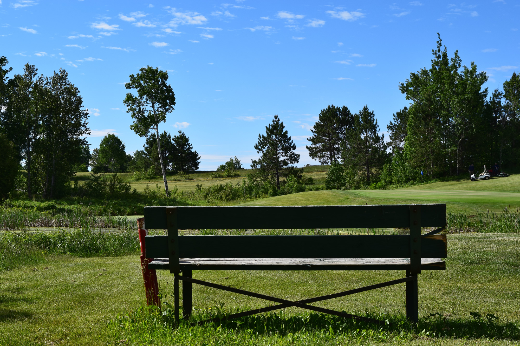 site-bg